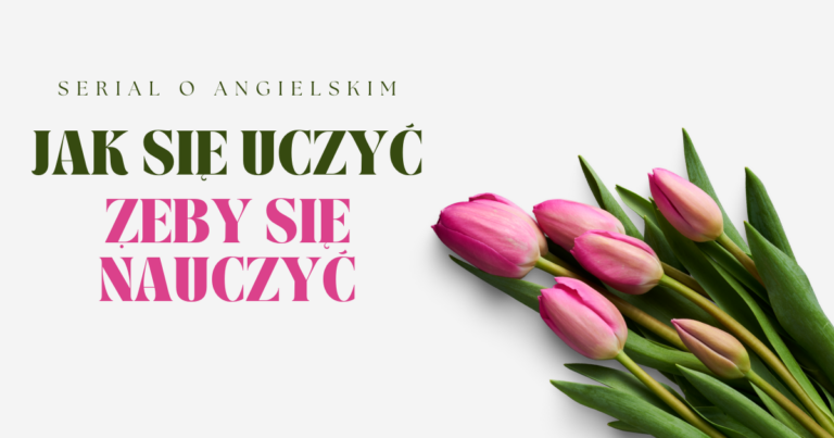 Read more about the article Jak się uczyć, żeby&nbsp;się nauczyć?